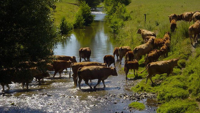 Wandelen heuvelland vakantie zomerdeal zomer vakantie
